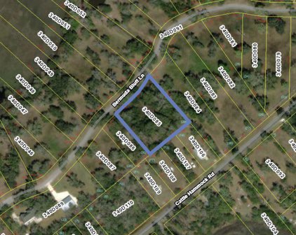 1.12 AC Bermuda Bluff Lane, Midway