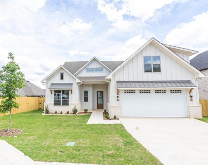 4189 Palo Pinto Creek Circle, Tyler