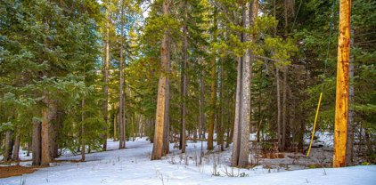 1111 Wood Road, Idaho Springs