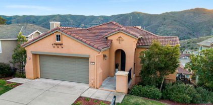 141 Elderberry LN, Brisbane