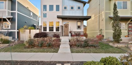 381 Osiander St, Fort Collins
