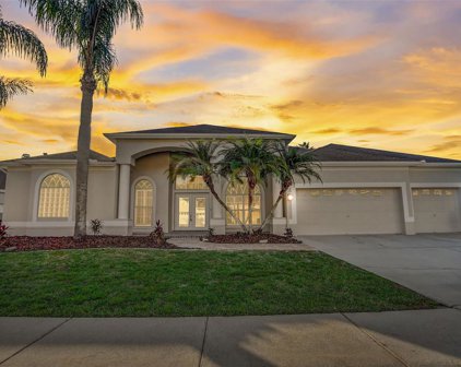 1423 Highwood Place, Wesley Chapel