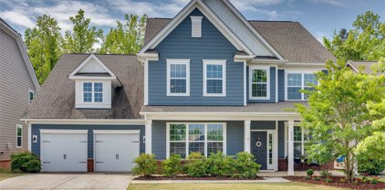 1317 Bryson Gap  Drive, Fort Mill