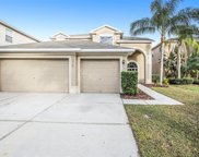 3514 Osprey Cove Drive, Riverview image