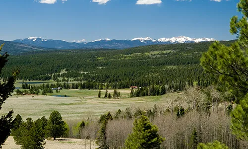 Angel Fire Homes for Sale
