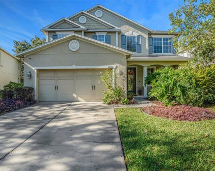 7460 Bridgeview Drive, Wesley Chapel