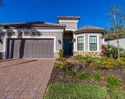 20165 Umbria Hill Drive, Tampa image