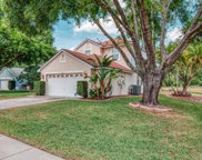 5715 Emerson Court, Palm Harbor image