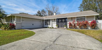 1102 Robinwood Drive, Oldsmar