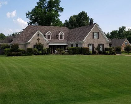 2685 Markston Cove, Southaven