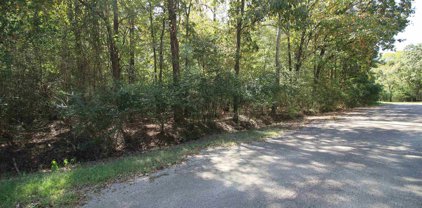 Brantley, Hot Springs