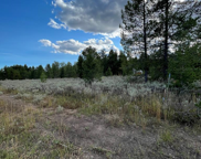 4039 Chickasaw Drive, Island Park image