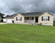 186 Granite Circle, Albertville image