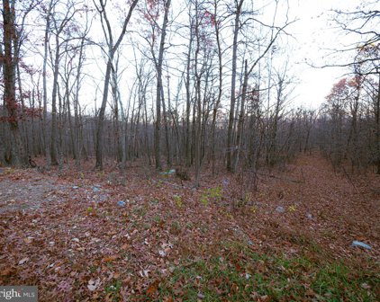 Lot 37 Poplar Trl, Winchester