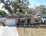 140 Douglas Drive, Eustis image