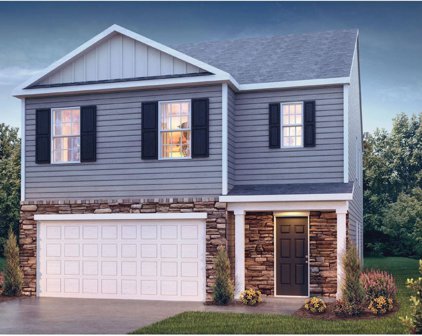 1256 Canter, Roebuck