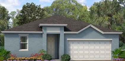 522 Feltrim Manor Road, Haines City