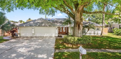2630 Meadow Wood Drive, Clearwater