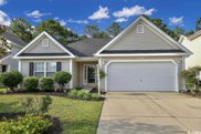 8212 Sterling Place Ct., Myrtle Beach image