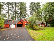 10416 NE 156TH ST, Brush Prairie image