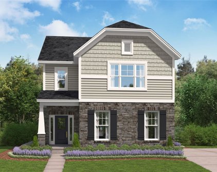 538 Birch Hawk  Drive, Rock Hill