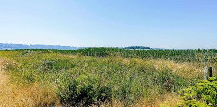 8607 Lefeuvre Road, Abbotsford