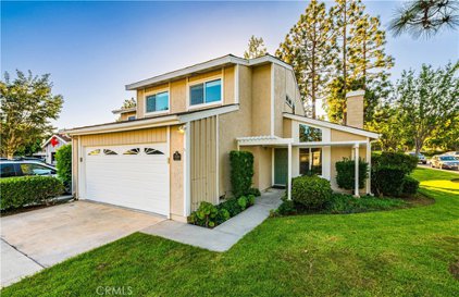 33081 Sandpiper Court, San Juan Capistrano