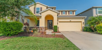 11538 Storywood Drive, Riverview