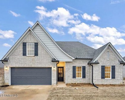 8614 Jackie Drive, Southaven