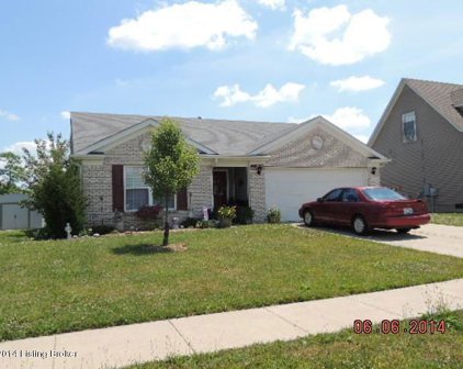 441 Lakes of Dogwood Blvd, Shepherdsville