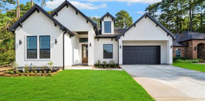 199 Wyndemere Drive, Montgomery