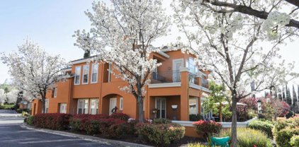 5315 Silver Garden Way, San Jose
