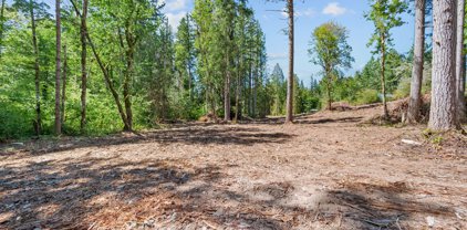 S Dhooghe RD, Molalla