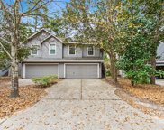 143 Anise Tree Place, The Woodlands image