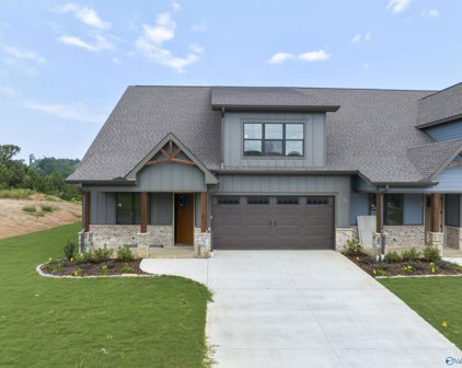 199 Whistling Straits Way, Guntersville