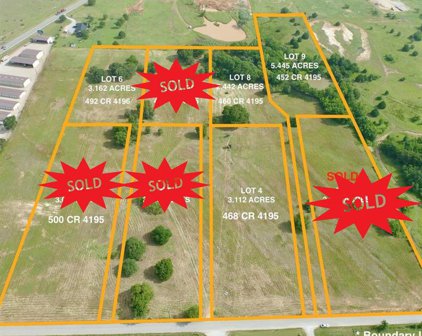 lot 4,8,9 County Road 4196, Decatur