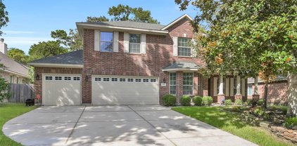 10 Hollow Glen Place, The Woodlands