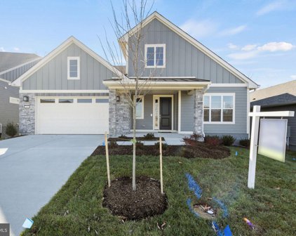 117 Pipit Ct, Lake Frederick