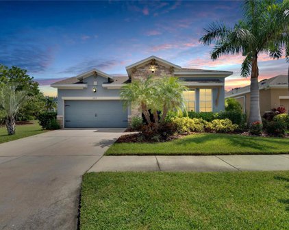 6427 Salt Creek Avenue, Apollo Beach
