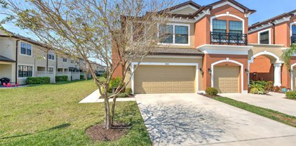 9243 Fox Sparrow Road, Tampa