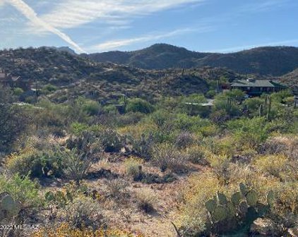 N Gibson, Oro Valley