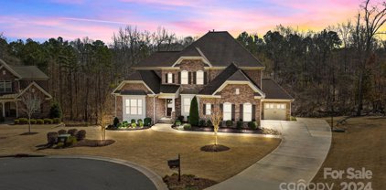470 Langston Place  Drive, Fort Mill