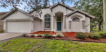 16612 Lake Heather Drive, Tampa