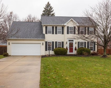 4151 Roanoke, Brunswick