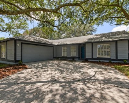 17610 Willow Pond Drive, Lutz