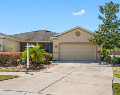 2004 Barracuda Court, Holiday