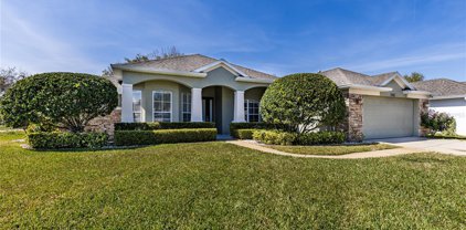 346 Hickory Springs Court, Debary