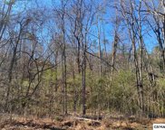 Lot 46 Silverbell Dr, Sevierville image