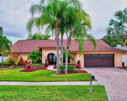 13709 Chestersall Drive, Tampa