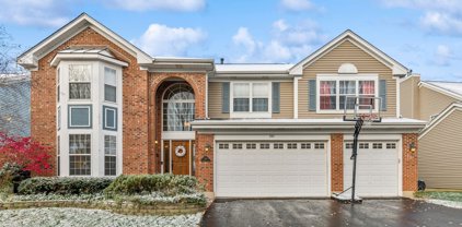 386 Ashford Lane, Grayslake